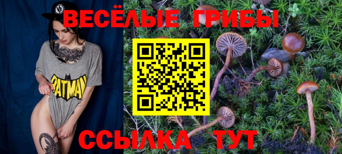 Галлюциногенные грибы мухоморы Жигулёвск